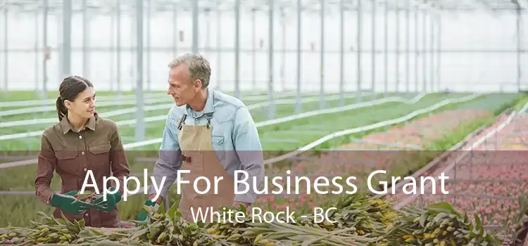 Apply For Business Grant White Rock - BC